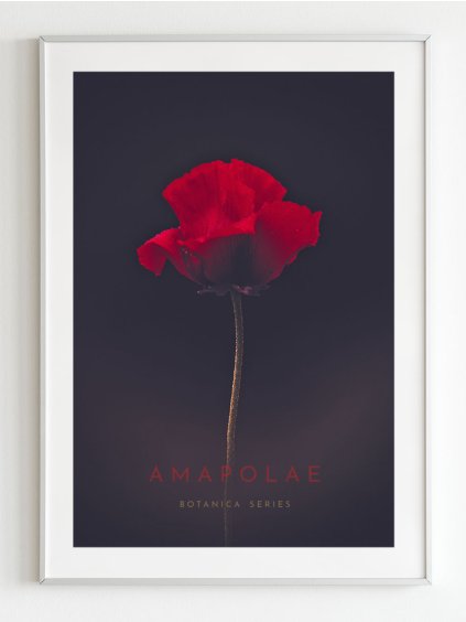 plakat-vlci-mak