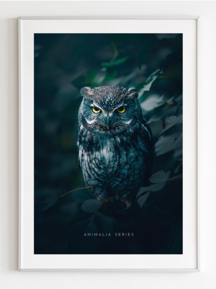 plakat-sova
