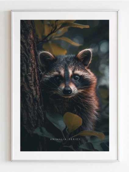 plakat-medvidek-myval