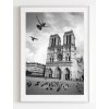 plakat-notre-dame