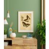 plakat-vintage-motyli-interier