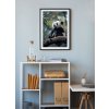 plakat-medvidek-panda-interier