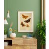 retro-vintage-plakat-motyli-interier