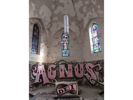 2AGNUS