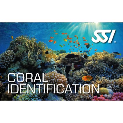 Presentation Coral Identification