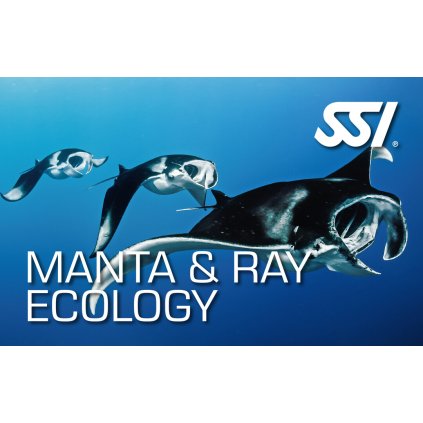 Presentation Manta & Ray Ecology