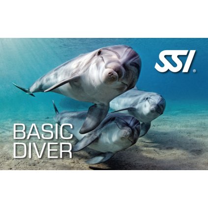 basic diver ssi