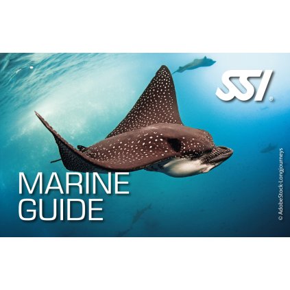 Presentation Marine Guide