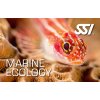 Presentation Marine Ecology