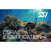 Presentation Coral Identification