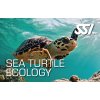 Presentation Sea Turtle Ecology