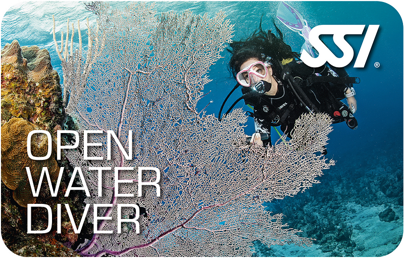 Open Water Diver