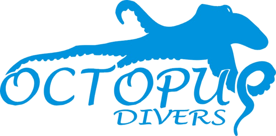 Octopus divers - Potápěčské potřeby