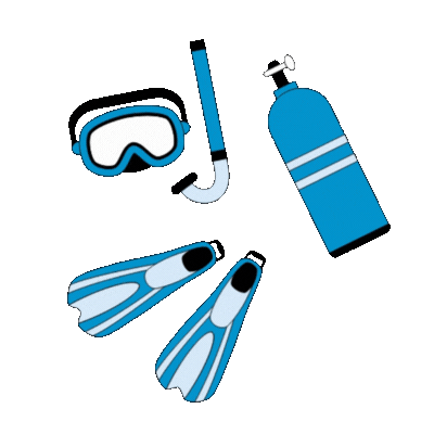 Individuální poradenství