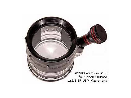 FOCUS FLAT PORT IKELITE 19.0CM (7.5)