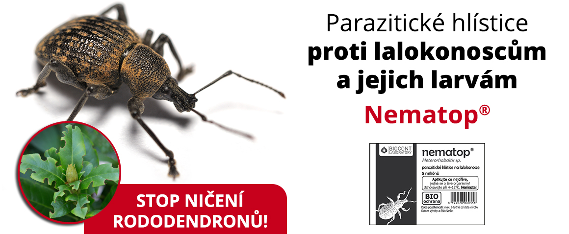 Nematop - proti lalokonoscům
