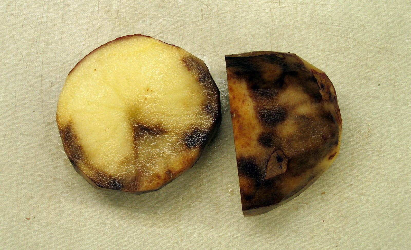 plisen-bramborova-hliza