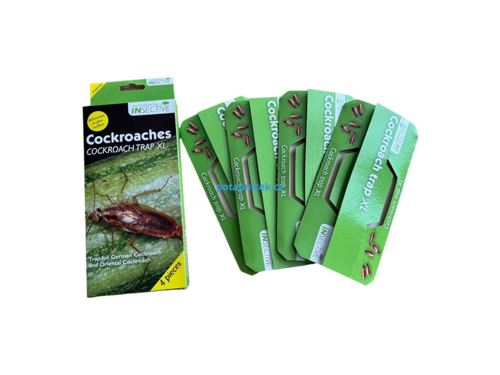 Cockrach trapXL a&b