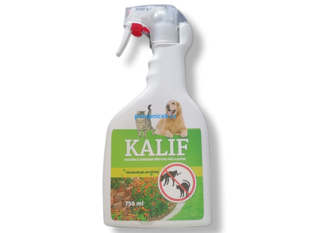kalif pes