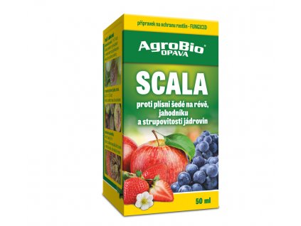 003267 Scala 50ml