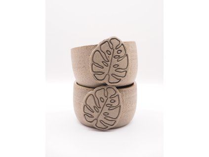 Monstera - 200ml