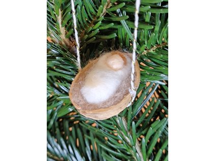 Ježíšek ve skořápce