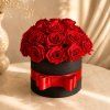 Rose Box Premium.