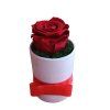Rose Box XS biely