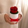 Rose Box XS biely v ruke