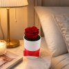 Rose Box XS biely na nočnom stolíku