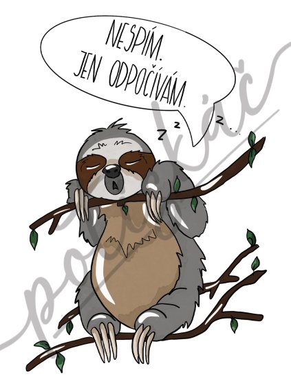 NESPIM JEN ODPOCIVAM pro svetle