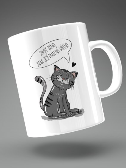 SORRY KÁMO JSEM JEJÍ PLÁN NA VÍKEND KOČKA