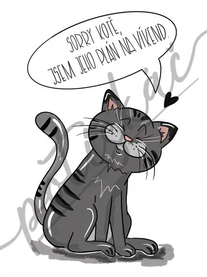 SORRY KOTE JSEM JEHO PLAN NA VIKEND pro svetle