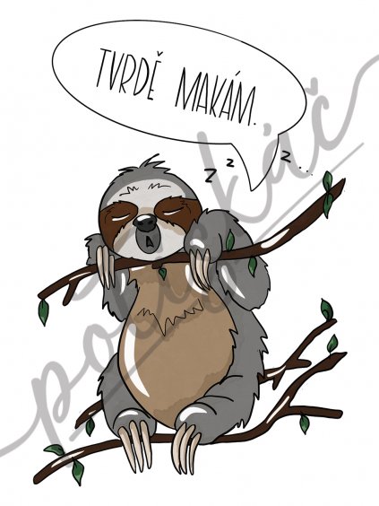 TVRDE MAKAM pro svetle