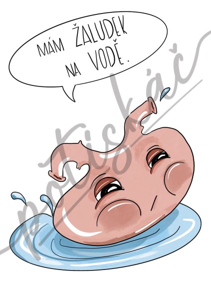 MAM ZALUDEK NA VODE pro svetle