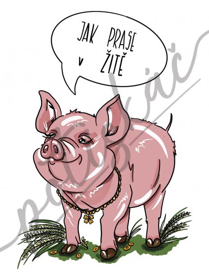 JAK PRASE V ZITE pro svetle