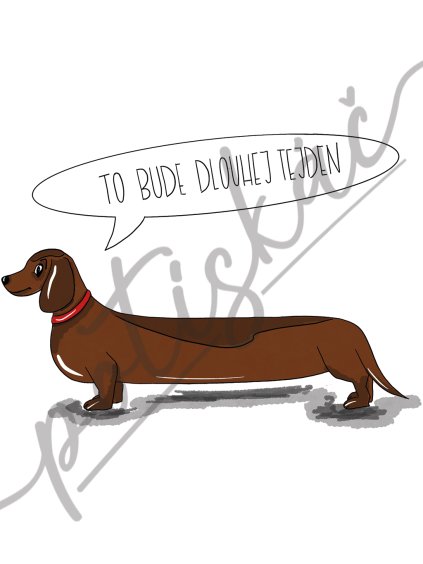 TO BUDE DLOUHEJ TEJDEN pro svetle