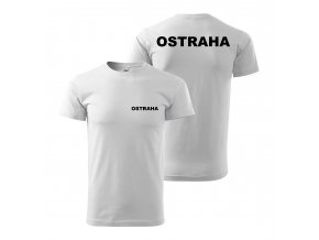 Ostraha bí