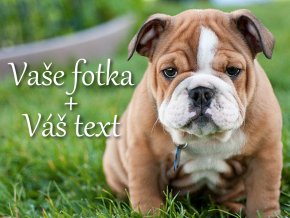 Cedulka plechová na dveře Vaše fotka a text