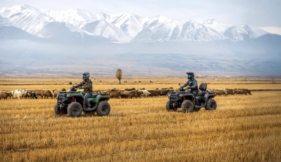 GOES TERROX 550 - Works smarter goes further