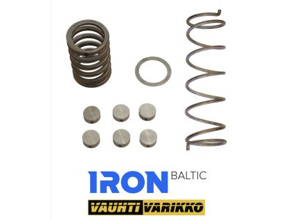 Clutch kit (STAGE 2) CFMOTO CFORCE 450 CFMOTO CFORCE 520
