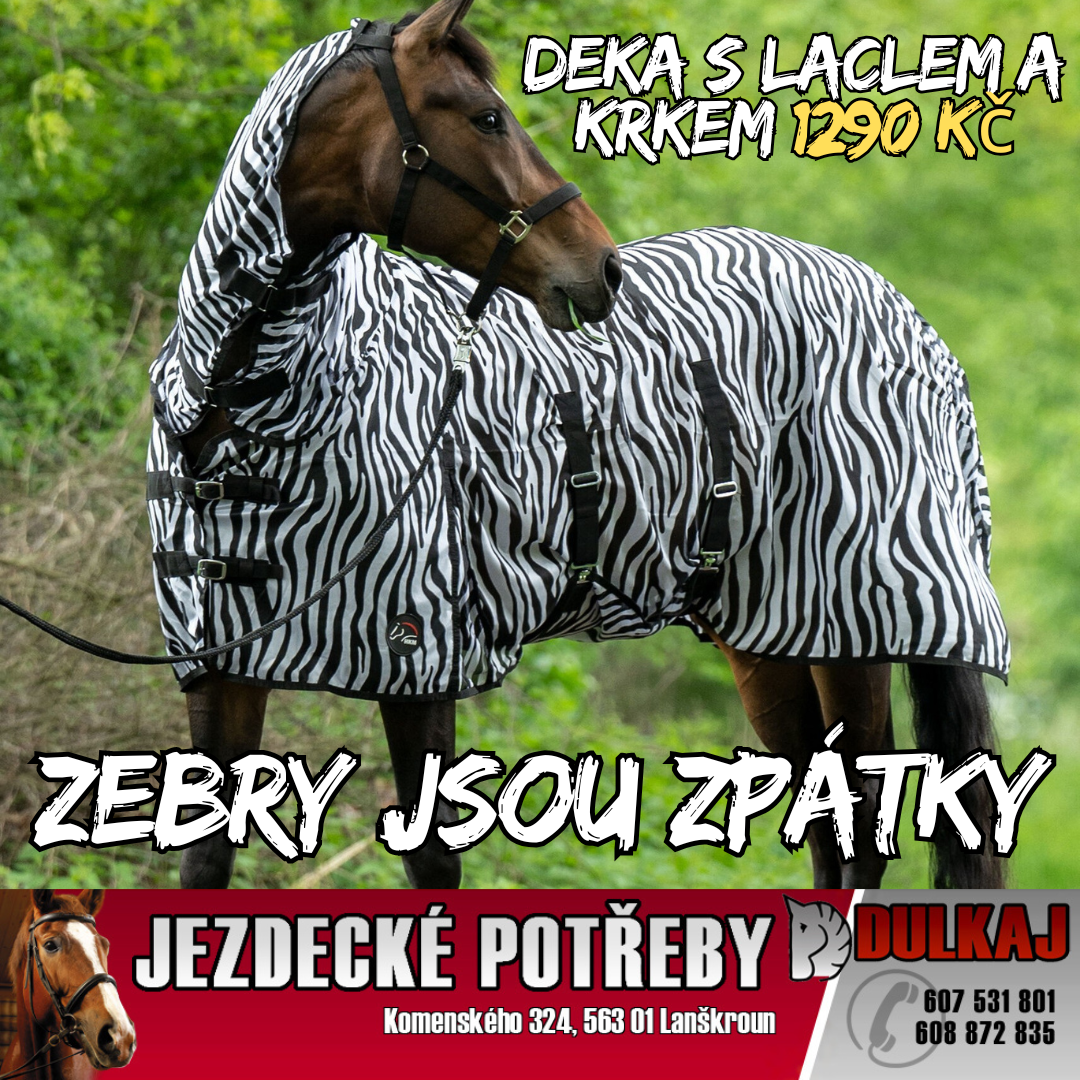 Zebra program proti hmyzu
