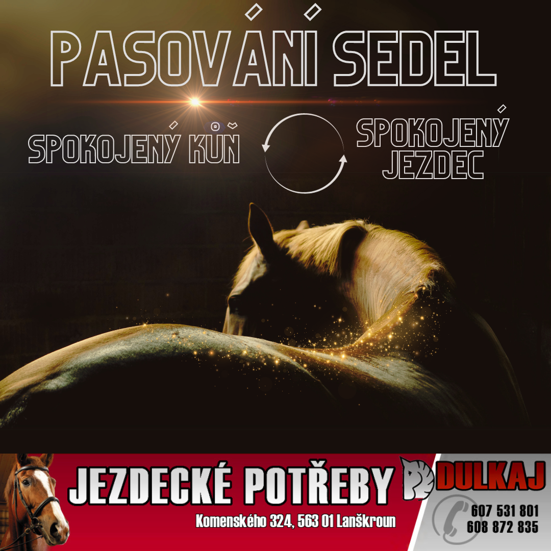 Pasování sedel