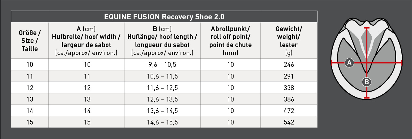 591101_EF_RecoveryShoe