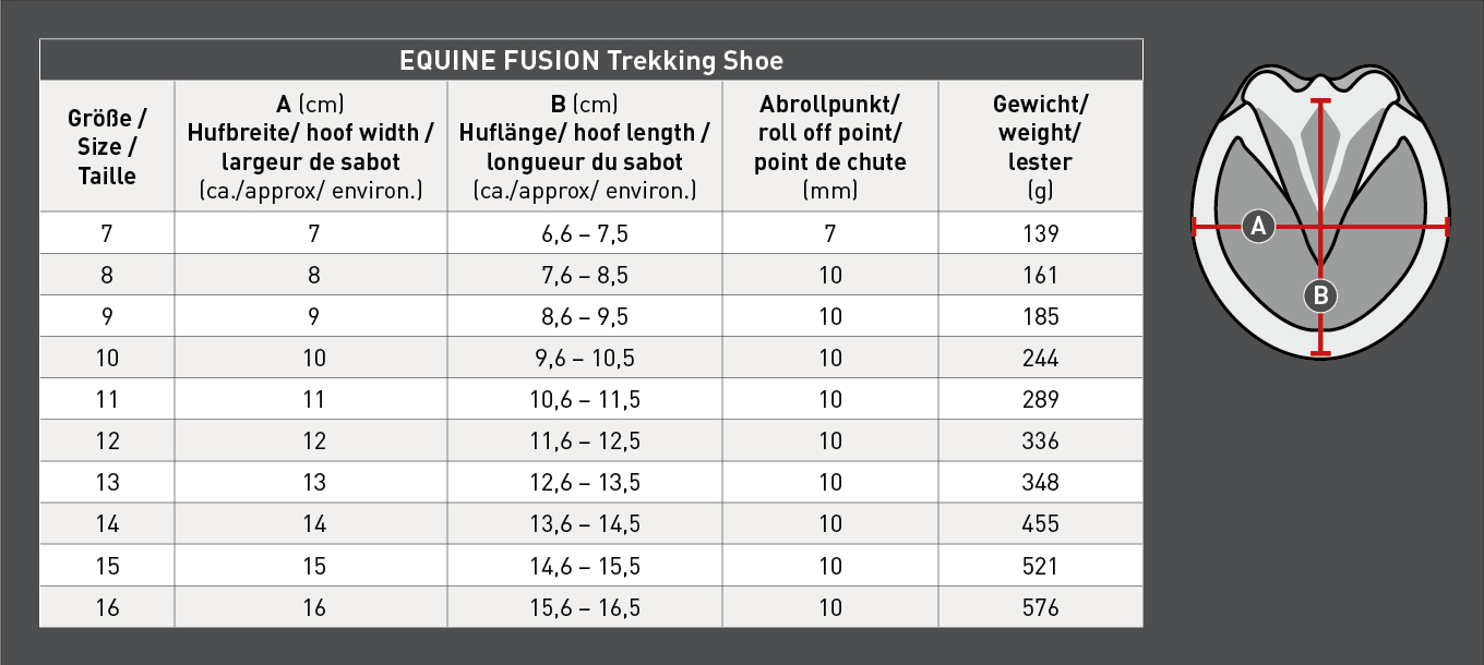 Equine_Trekking