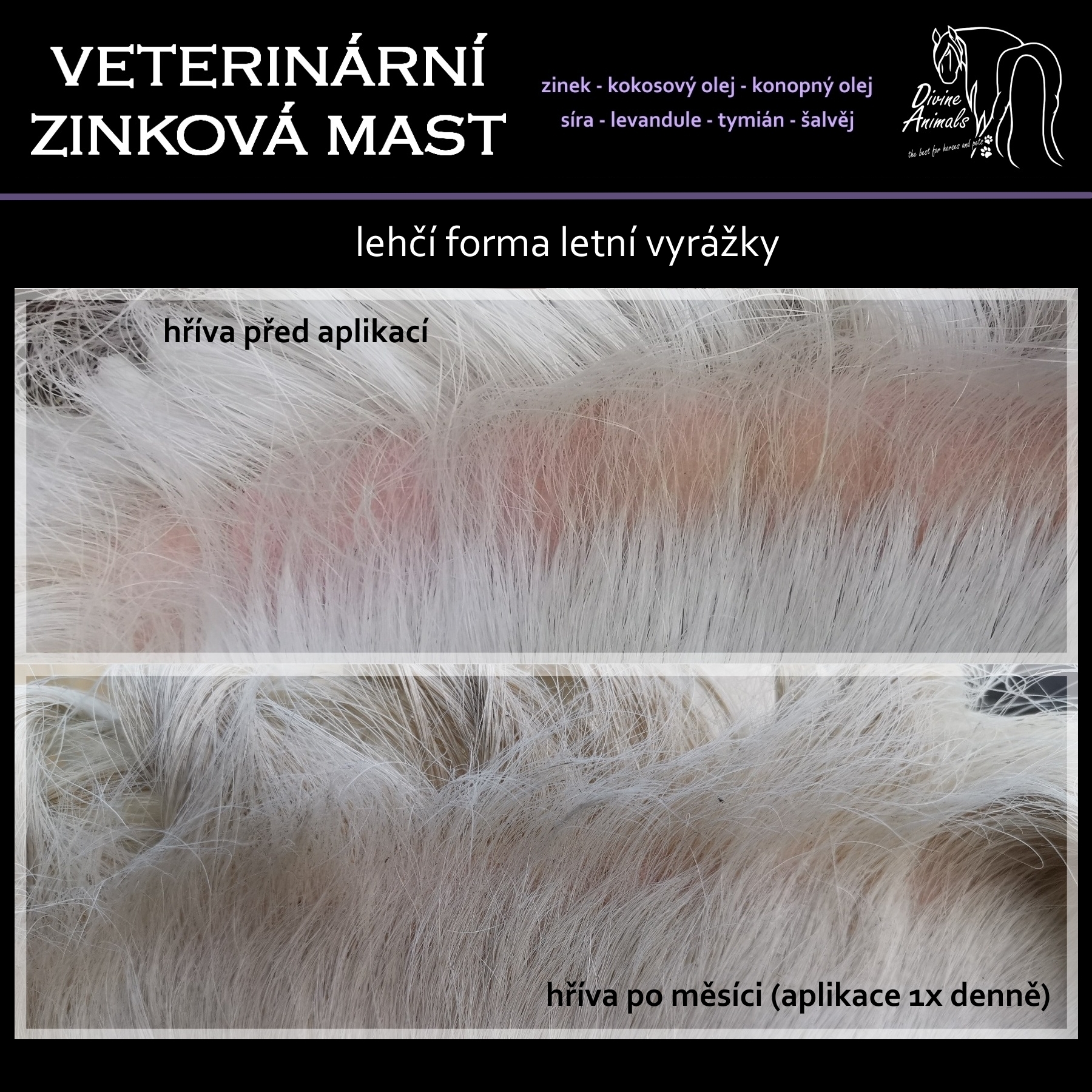_vyrp12_56Letni-vyrazka-hriva