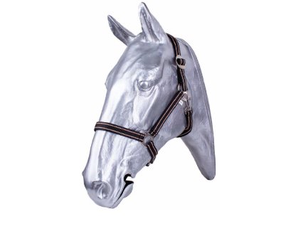 Snímek obrazovky 2025 12 12 160551