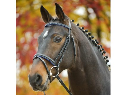 Uzdečka Diamant modrá (Velikost shetty)