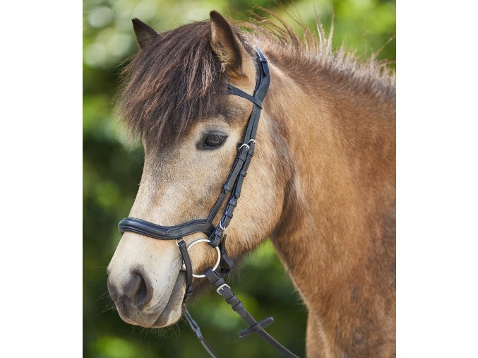 Uzdečka anatomická Waldhausen Pony (Barva černá, Vel. pony)