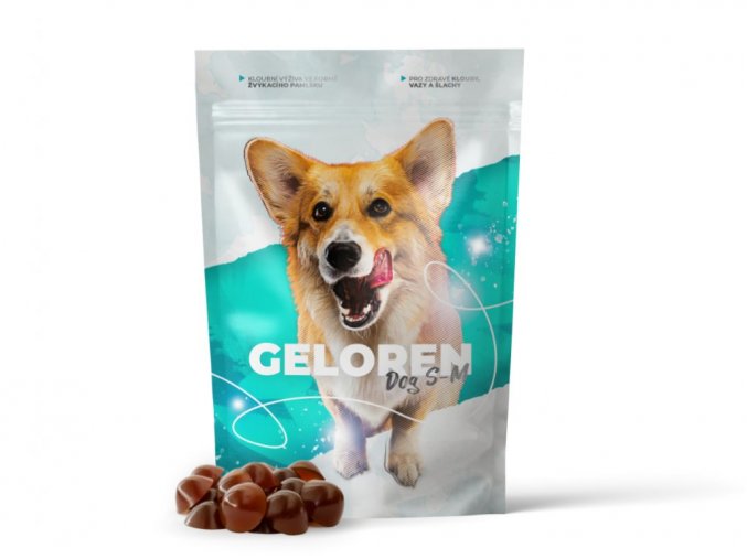 6589 1 geloren dog s m new grey